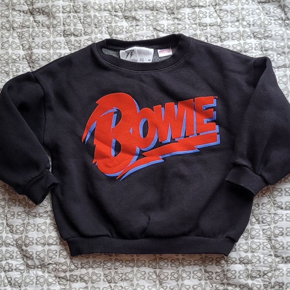 ZARA Bowie Sweatshirt